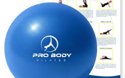 ProBody Pilates Mini Pelota de Ejercicio – Bola de 9 Pulgadas para Entrenamiento de Estabilidad, Barra, Yoga, Núcleo y Terapia Física
